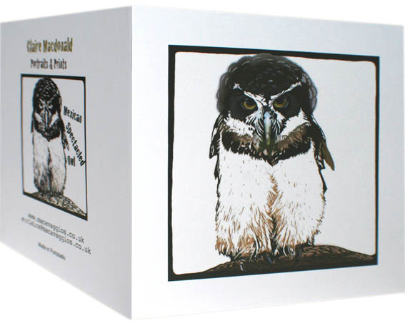 Mexican Spectacled Owl Card